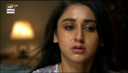 Habs Episode 04 - 31st May 2022